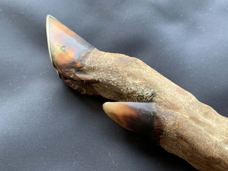 Окопный нож типа козья ножка, период Первой Мировой Войны.